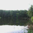 Karpfenteich