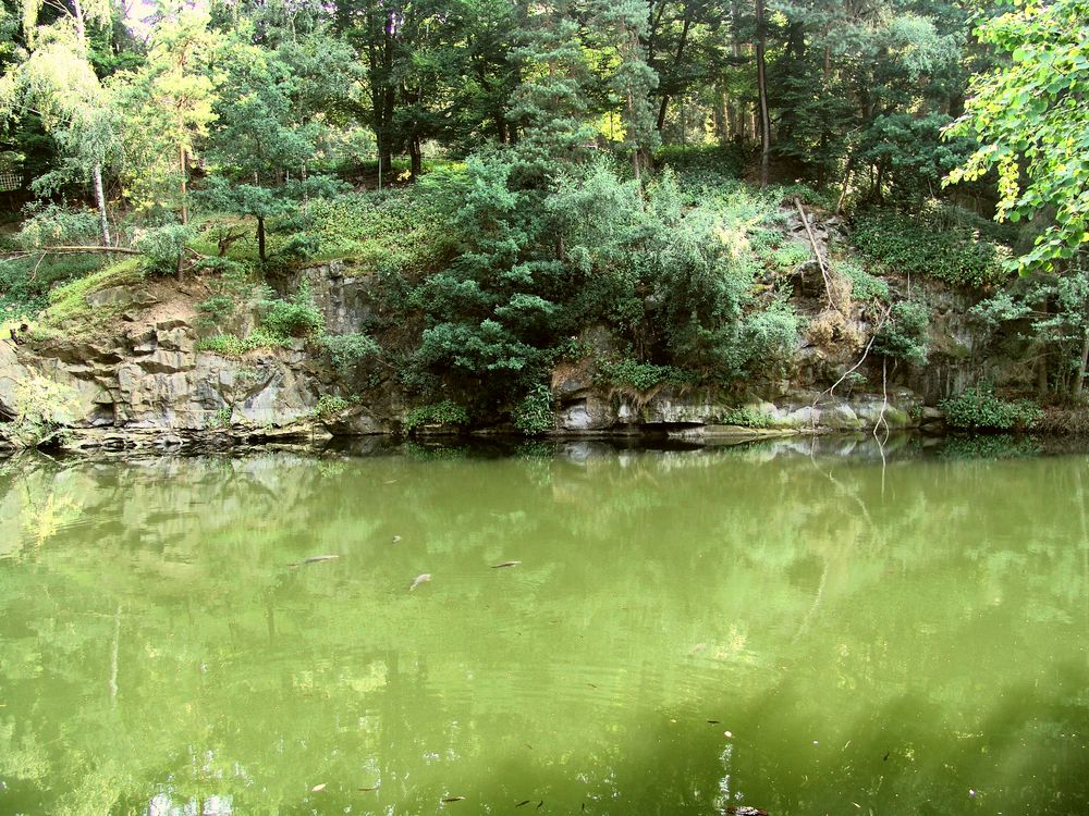 Karpfenteich Foto & Bild landschaft, bach, fluss & see, see, teich