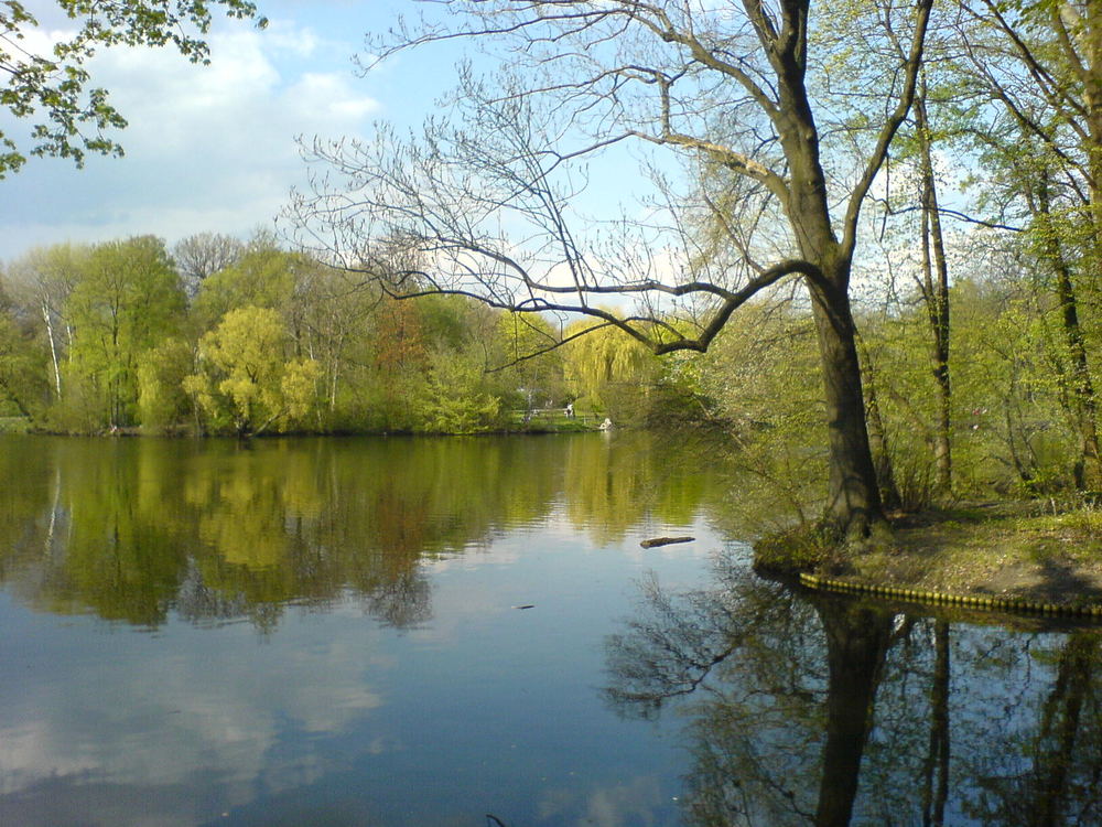 Karpfenteich Foto & Bild jahreszeiten, frühling, natur Bilder auf