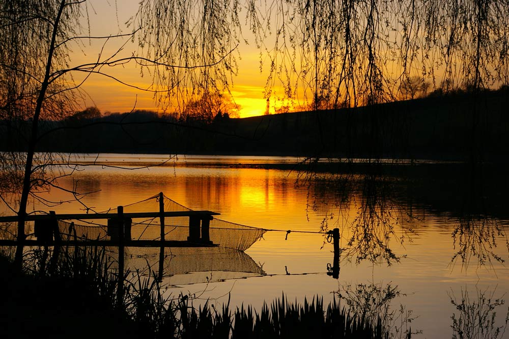 Karpfenteich Stimmung