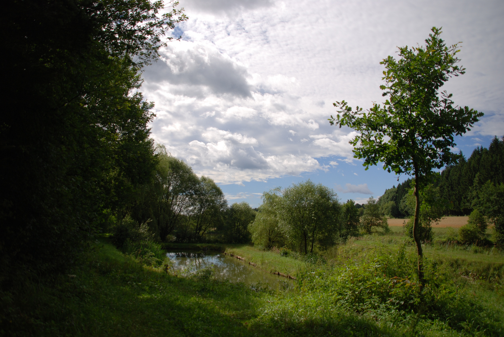 Karpfenteich W/4