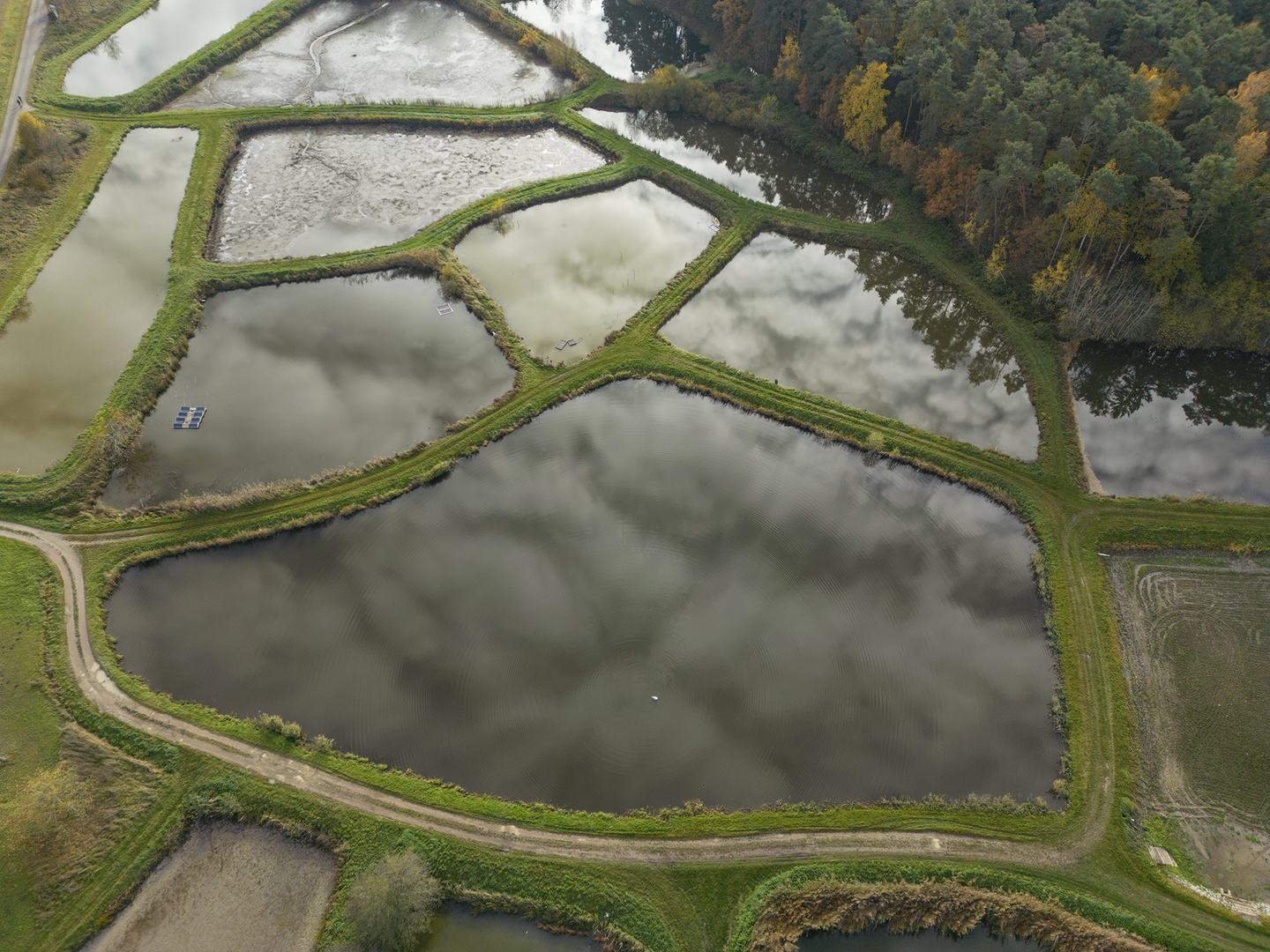 Karpfenteiche im Aischgrund