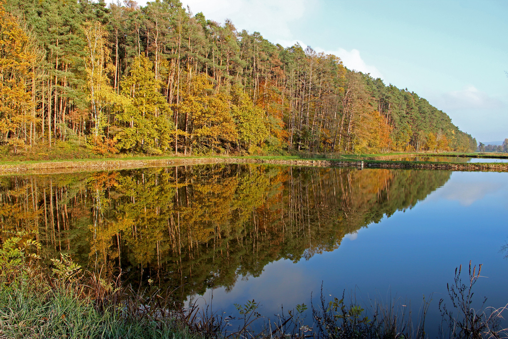 Karpfenweiher