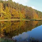 Karpfenweiher