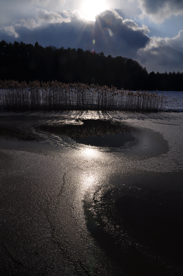 Karpfenweiher