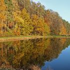 Karpfenweiher