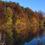 Karpfenweiher