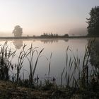 Karpfenweiher im Herbst