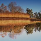 Karpfenweiher mit eindrucksvoller Umgebung