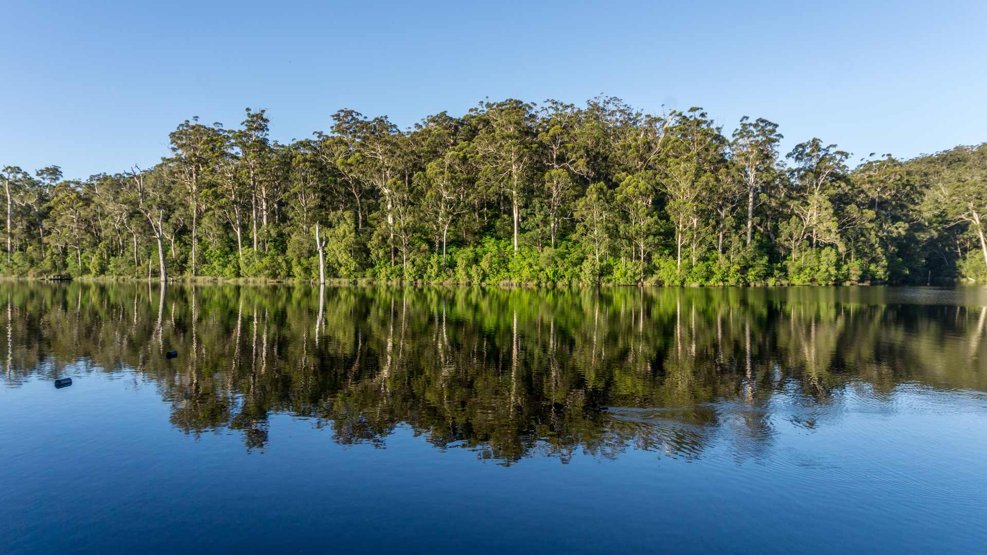 Karri Valley, Margaret River