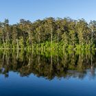 Karri Valley, Margaret River