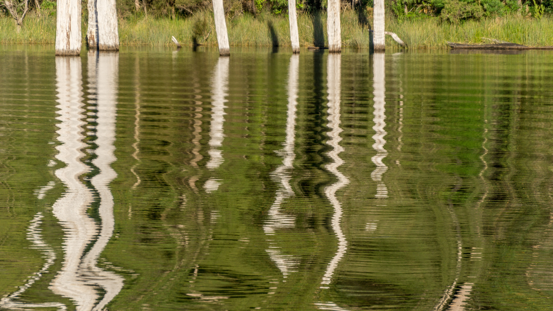 Karri Valley, Margaret River