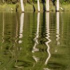 Karri Valley, Margaret River