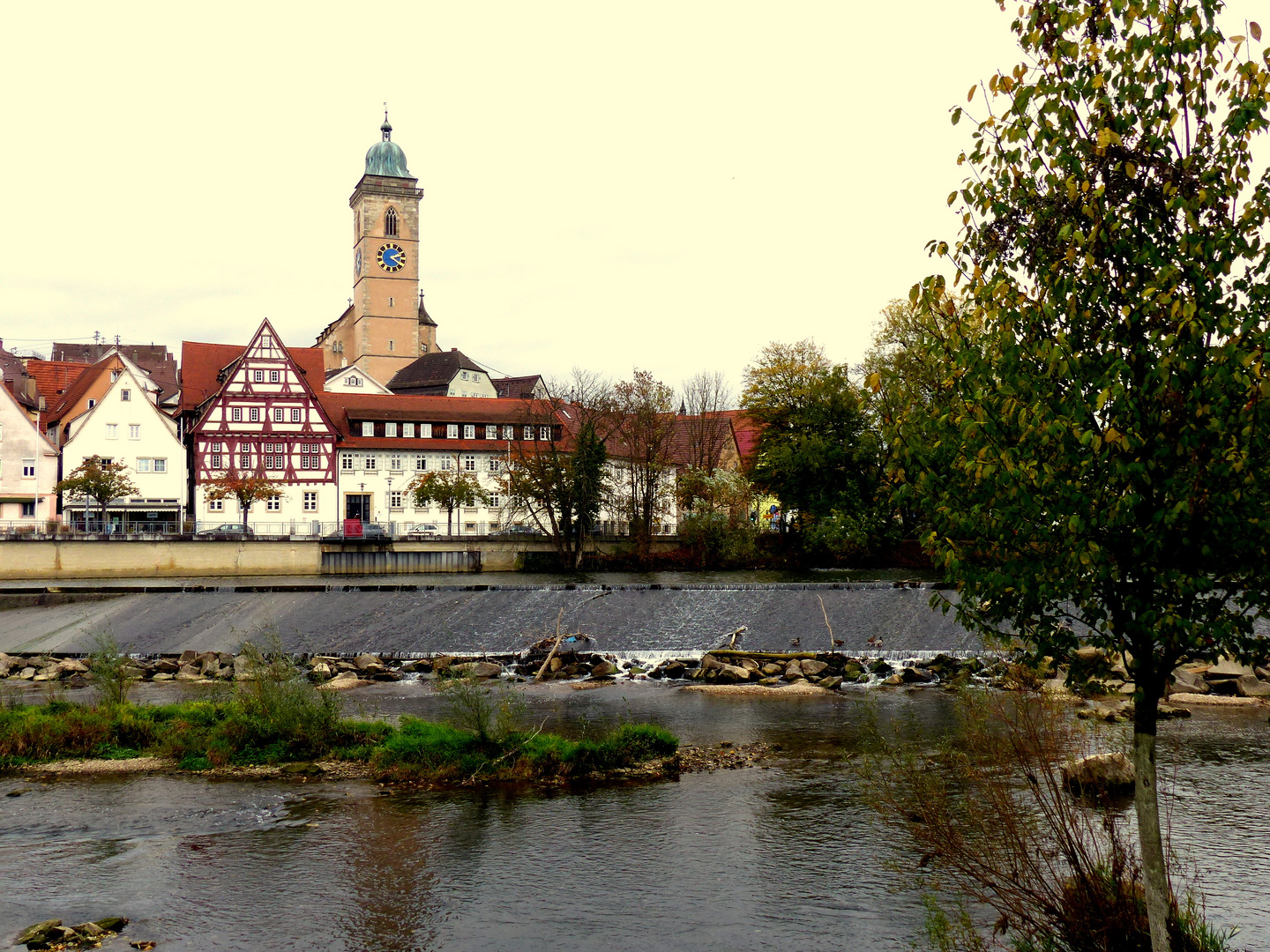 Karriereleiter für Enten in