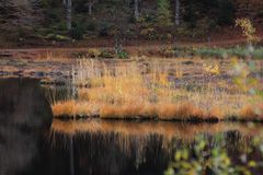 Karsee und Hochmoor Nonnenmattweiher ...