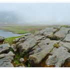 Karstfelsen im Nebel