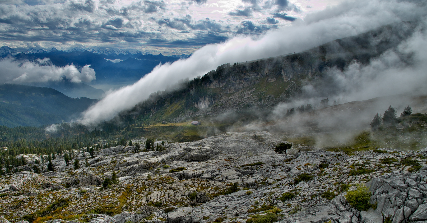 Karstlandschaft im Nebel