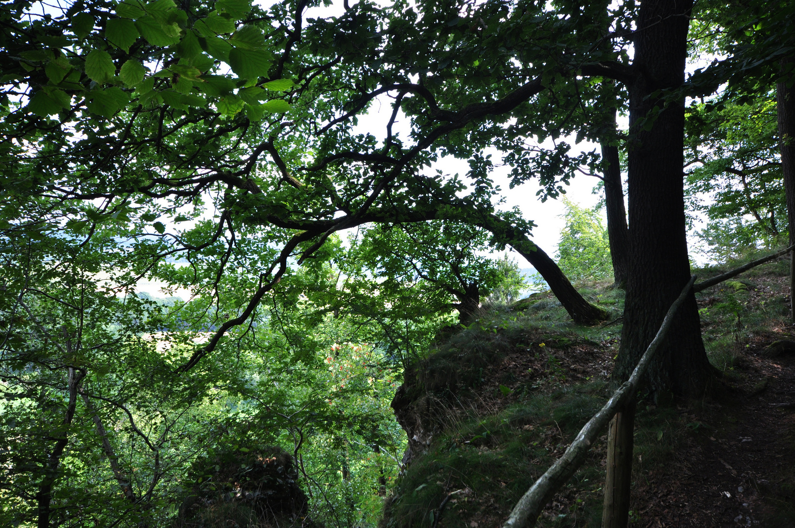 Karstwanderweg 103 Am Bauerngraben