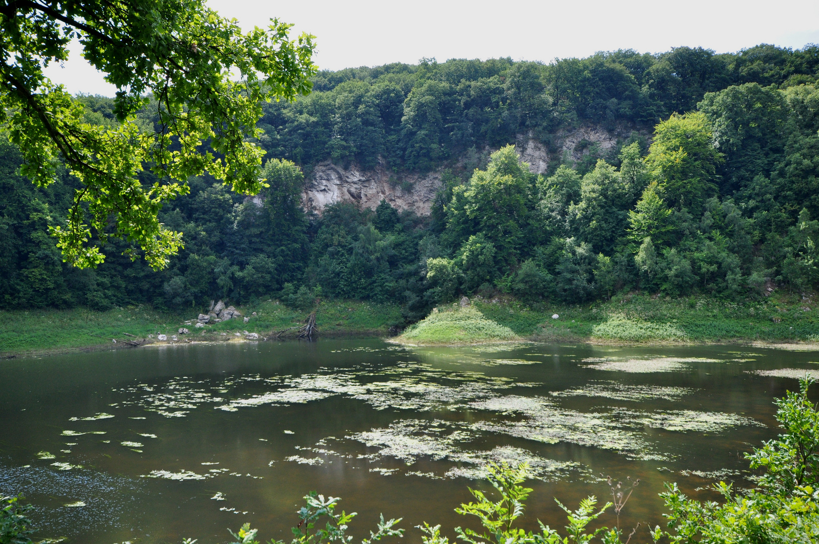 Karstwanderweg 105 Gipsabbruchkante am Bauerngraben und Periodischer See