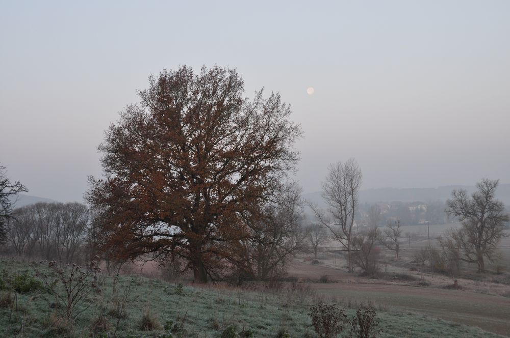 Karstwanderweg 83 Morgenstimmung bei Wolffleben