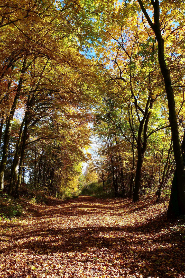 Karstwanderweg beim Hirscheteich, Nordhausen