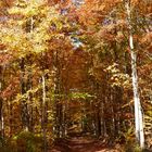 Karstwanderweg vo Nordhausen nach Hörningen am Harz