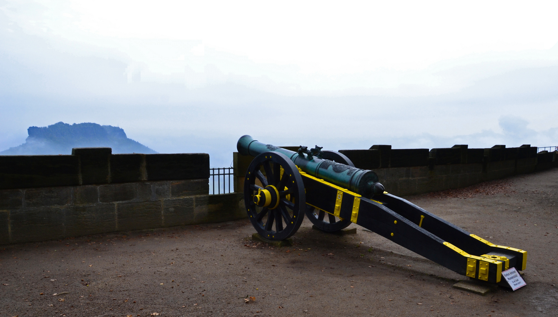 Kartaune auf Königstein