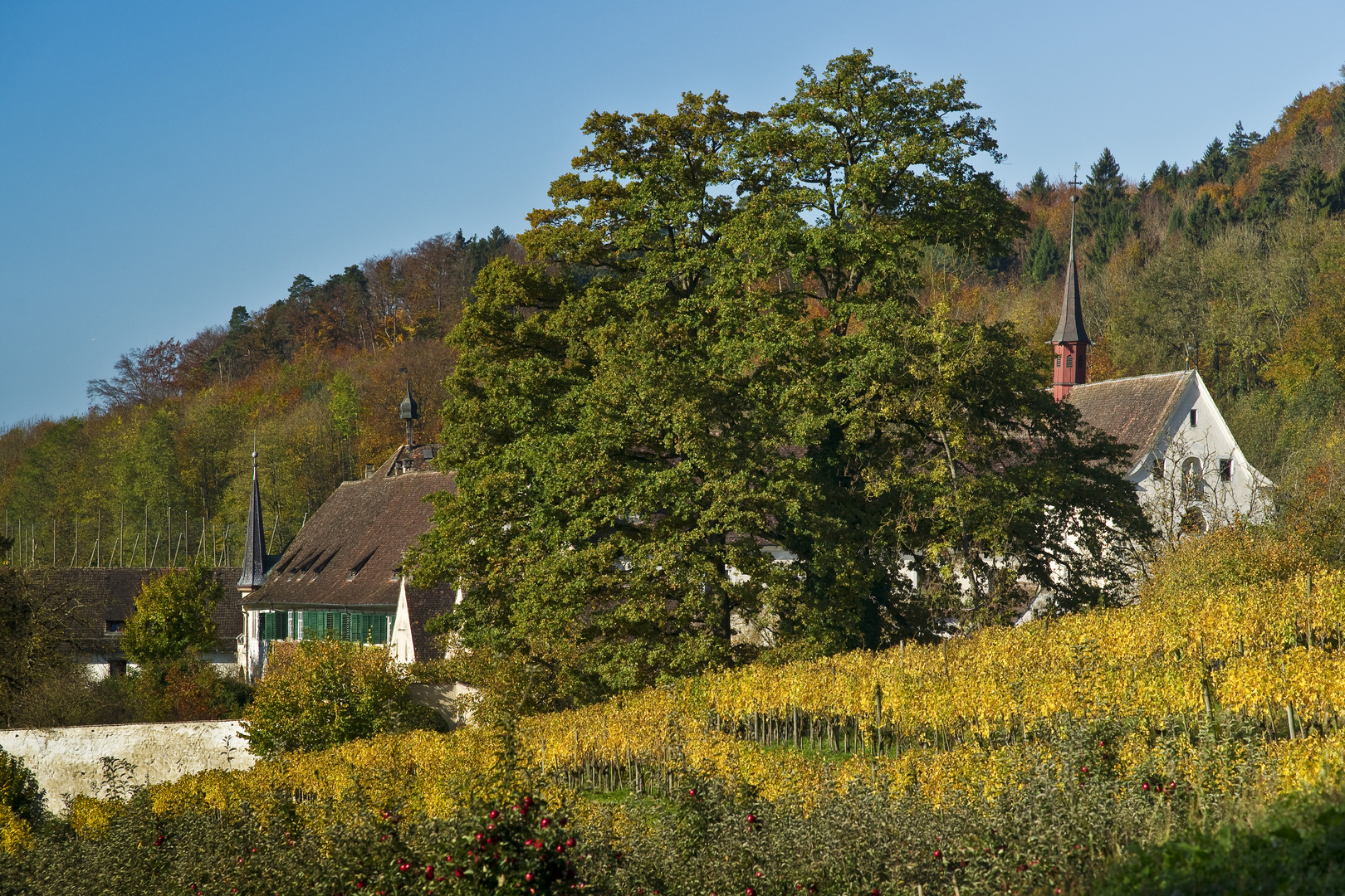 Kartause Ittingen