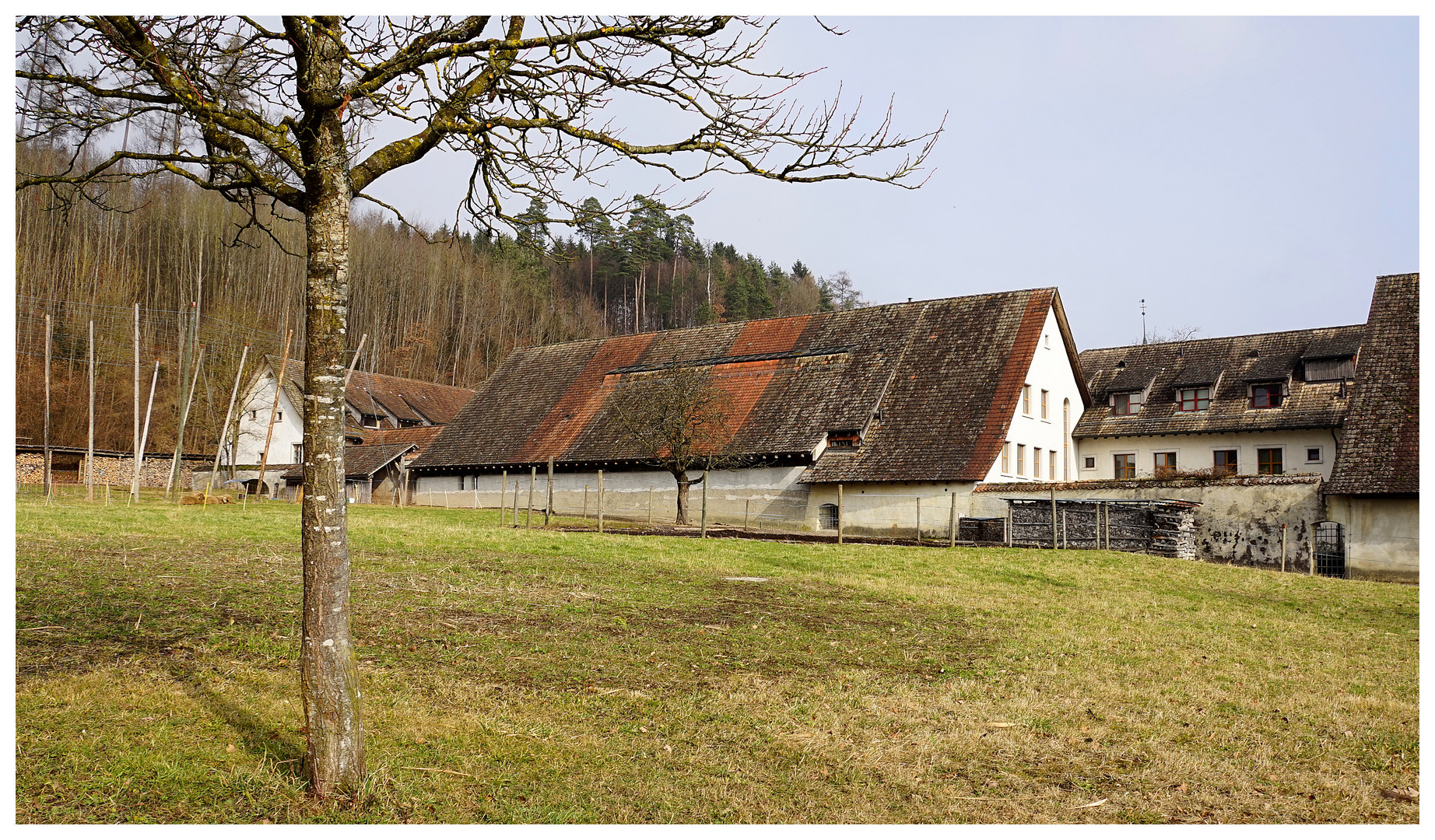 Kartause Ittingen mit Hopfengarten, Obstbäumen und Scheune