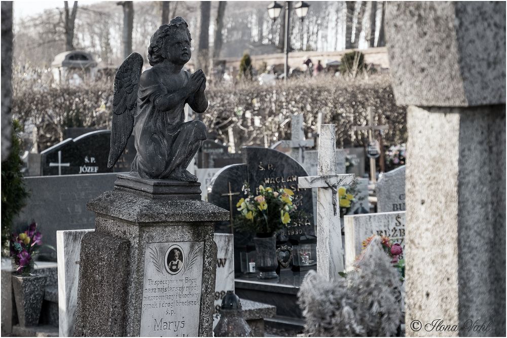 Karthaus mit Friedhof 09