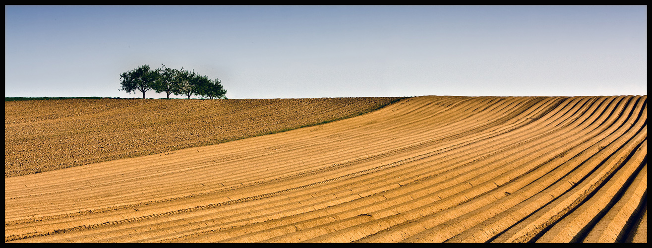 Kartoffelacker Pano