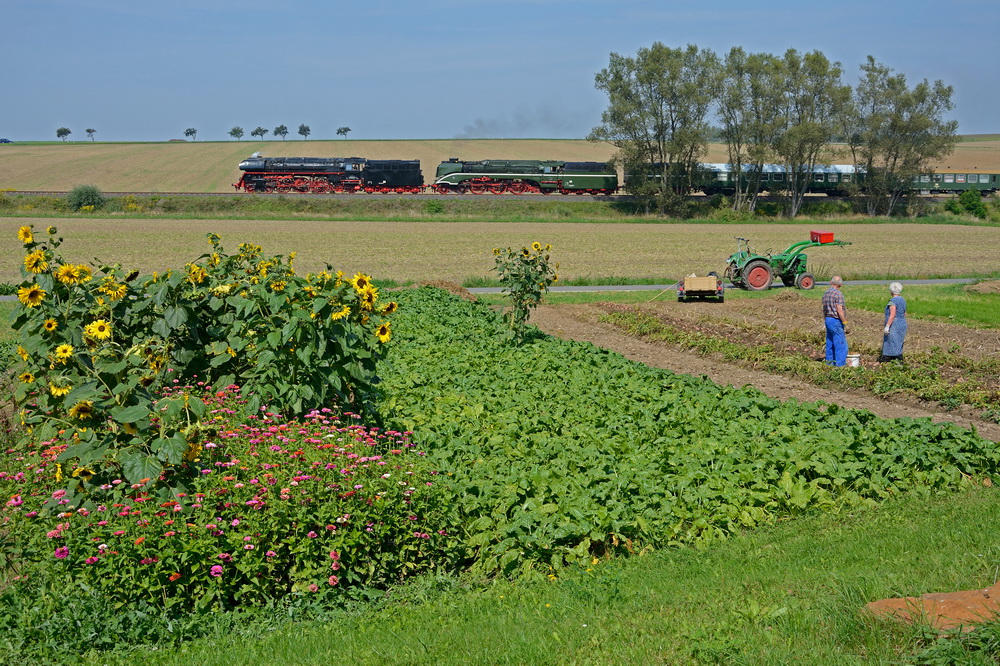 Kartoffelernte in Großschwabhausen