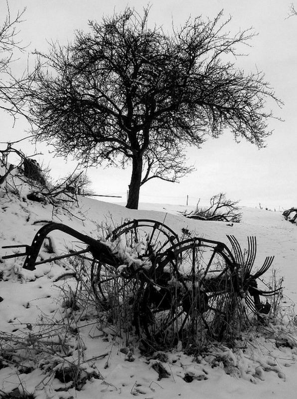 Kartoffelroder - Winterruhe