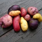 Kartoffelvielfalt