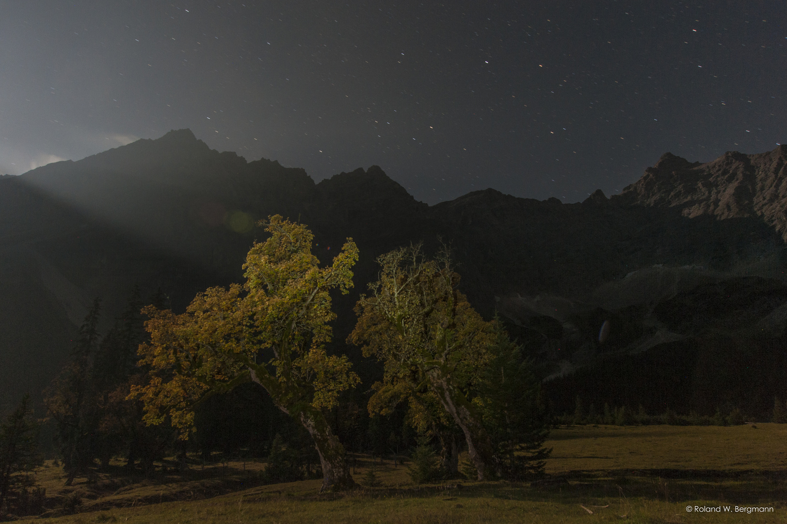 Karwendel bei Nacht mit Ahorn