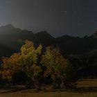 Karwendel bei Nacht mit Ahorn