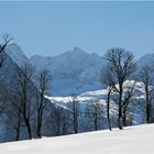 Karwendel - Eng - Großer Ahornboden