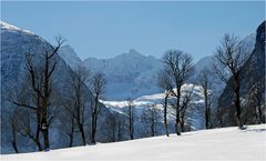 Karwendel - Eng - Großer Ahornboden