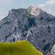 Karwendel - Vieh mit Aussicht