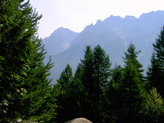 karwendelgebirge im sommer