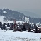 Karwoche 2013 ~ Gründonnerstag