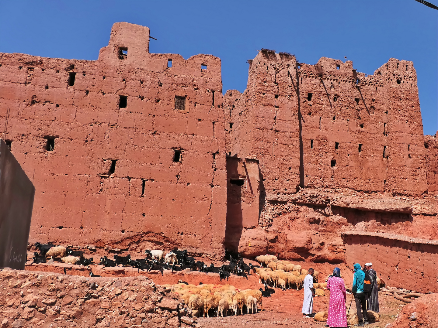 Kasbah mit Nomaden im vallee du  Rose Marokko