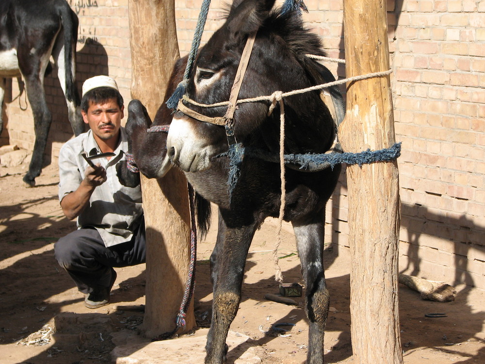 kashgar- sunday market