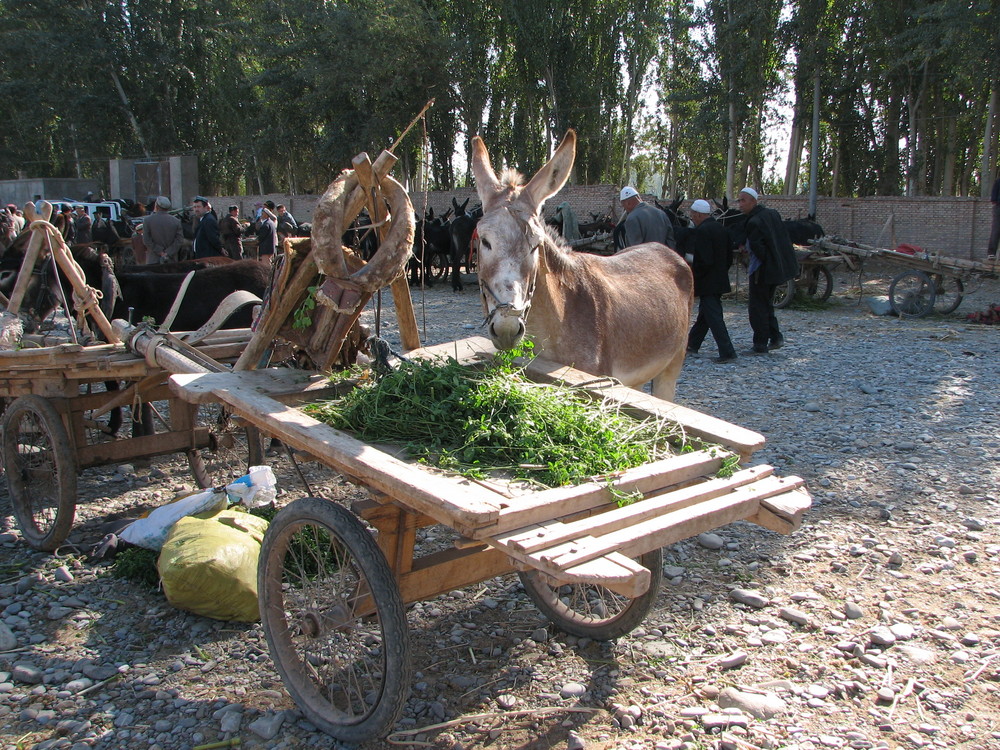 kashgar - sunday market