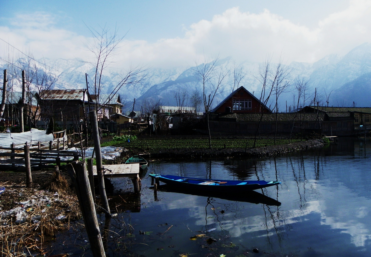 kashmir