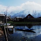 kashmir