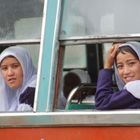 Kashmir busstopgirls