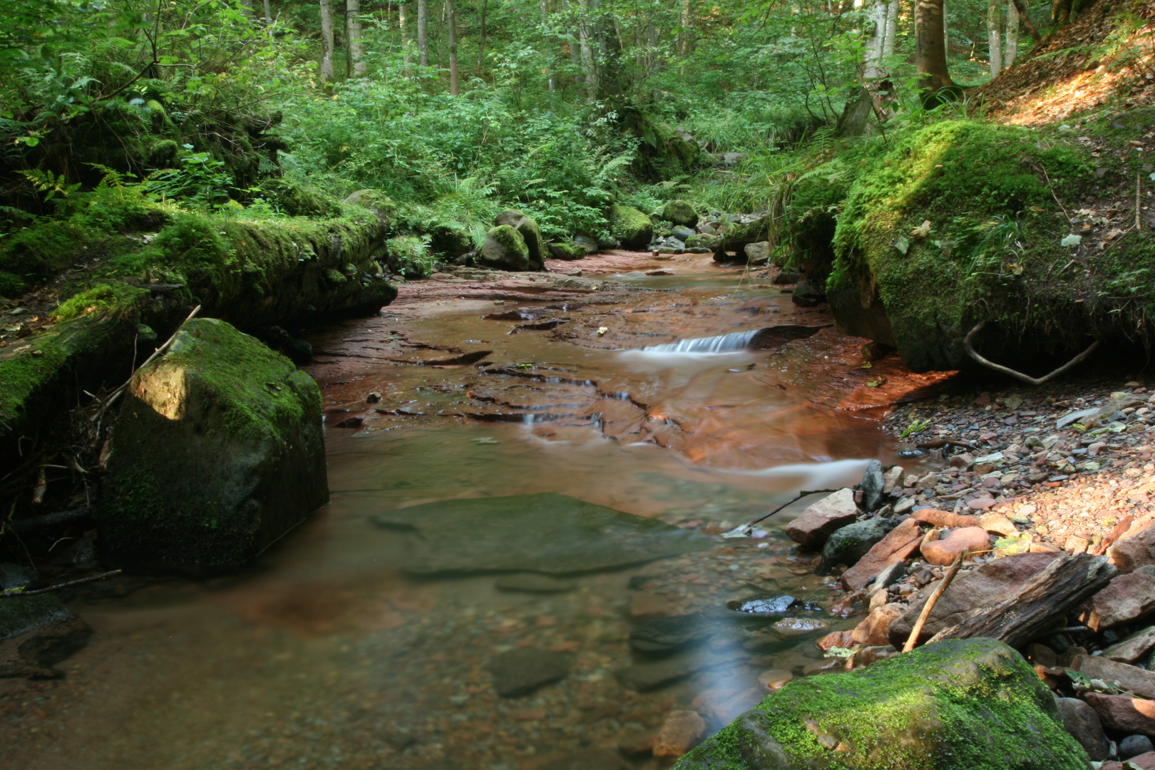 Kaskadenschlucht an der Wasserkuppe