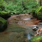 Kaskadenschlucht an der Wasserkuppe