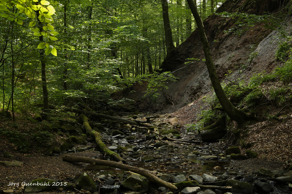 Kaskadenschlucht in der Rhön